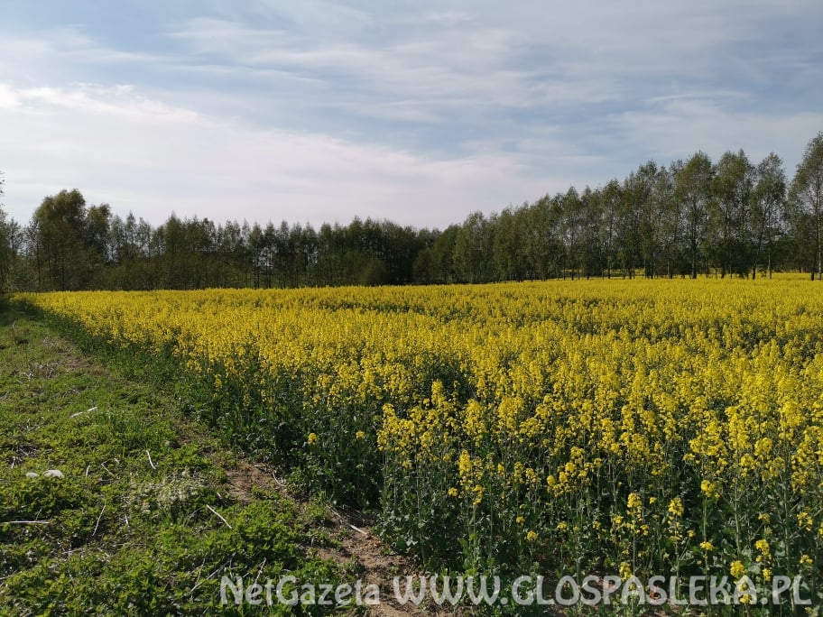 Jest nadzieja na remont
