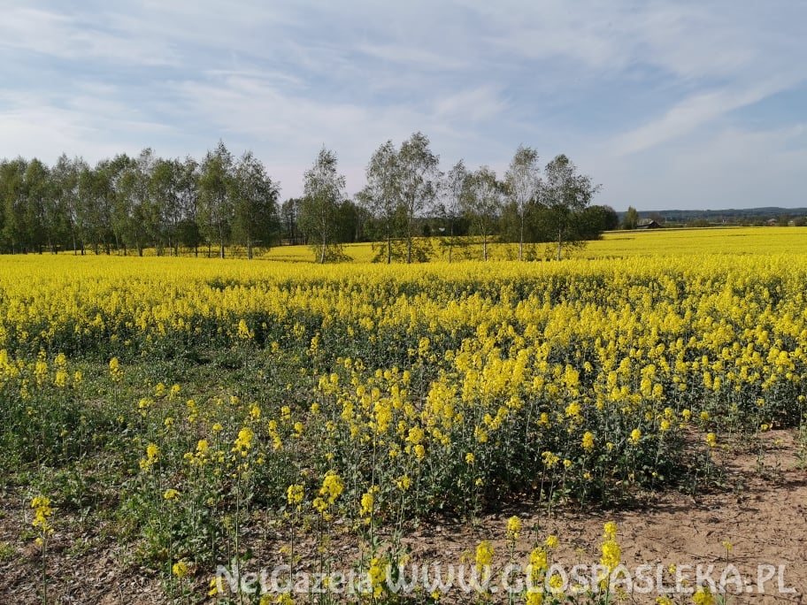 Jest nadzieja na remont
