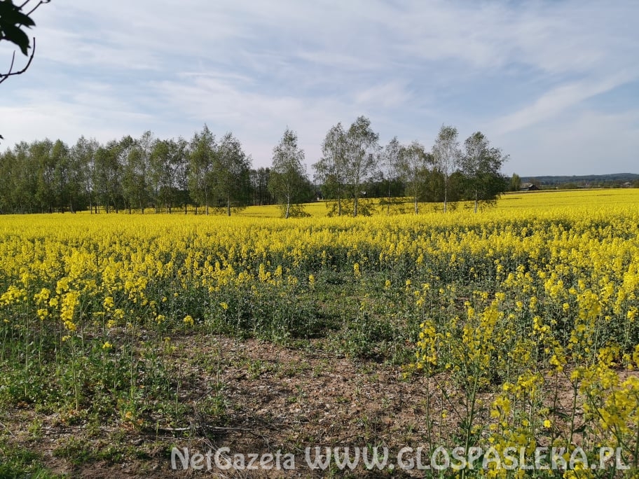 Jest nadzieja na remont