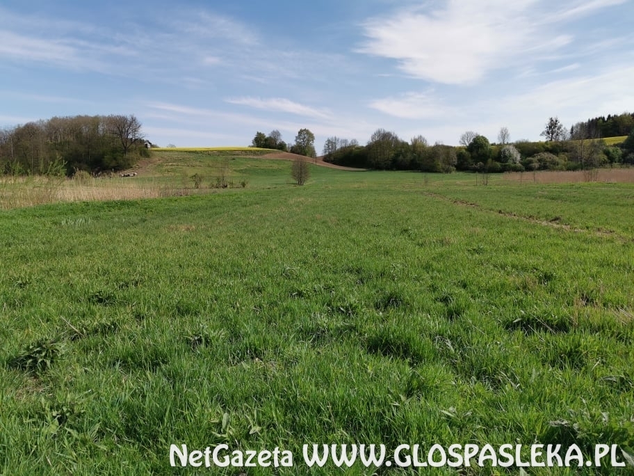 podpisanie umów na ciepło z miasta