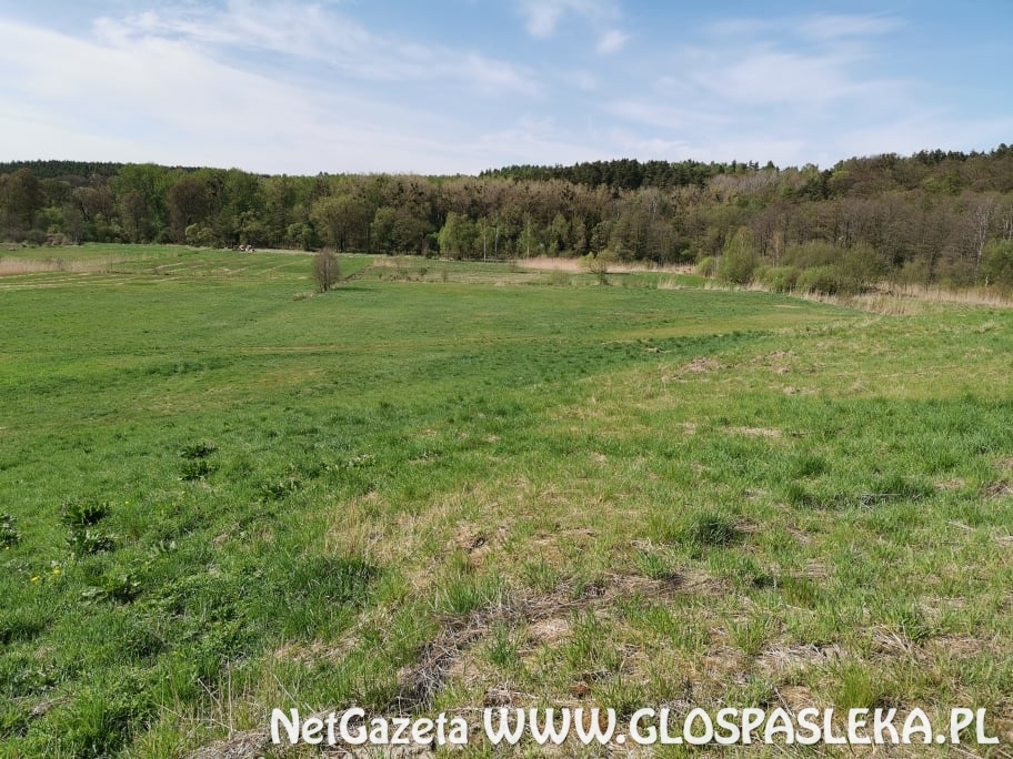 podpisanie umów na ciepło z miasta