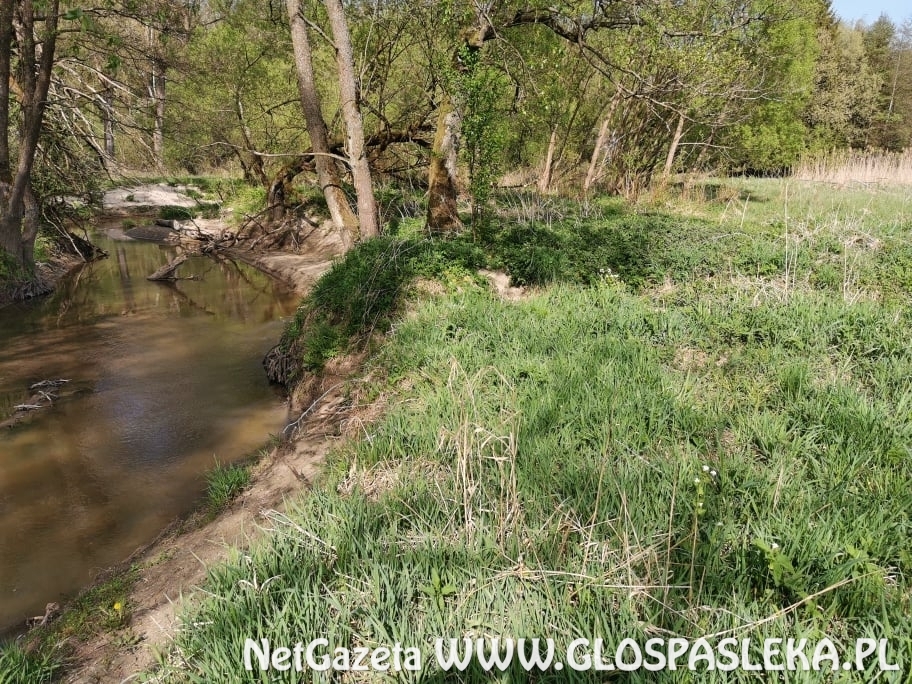 podpisanie umów na ciepło z miasta