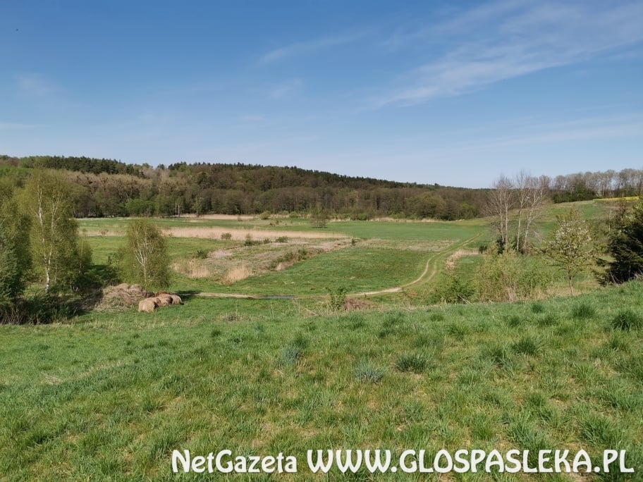 podpisanie umów na ciepło z miasta