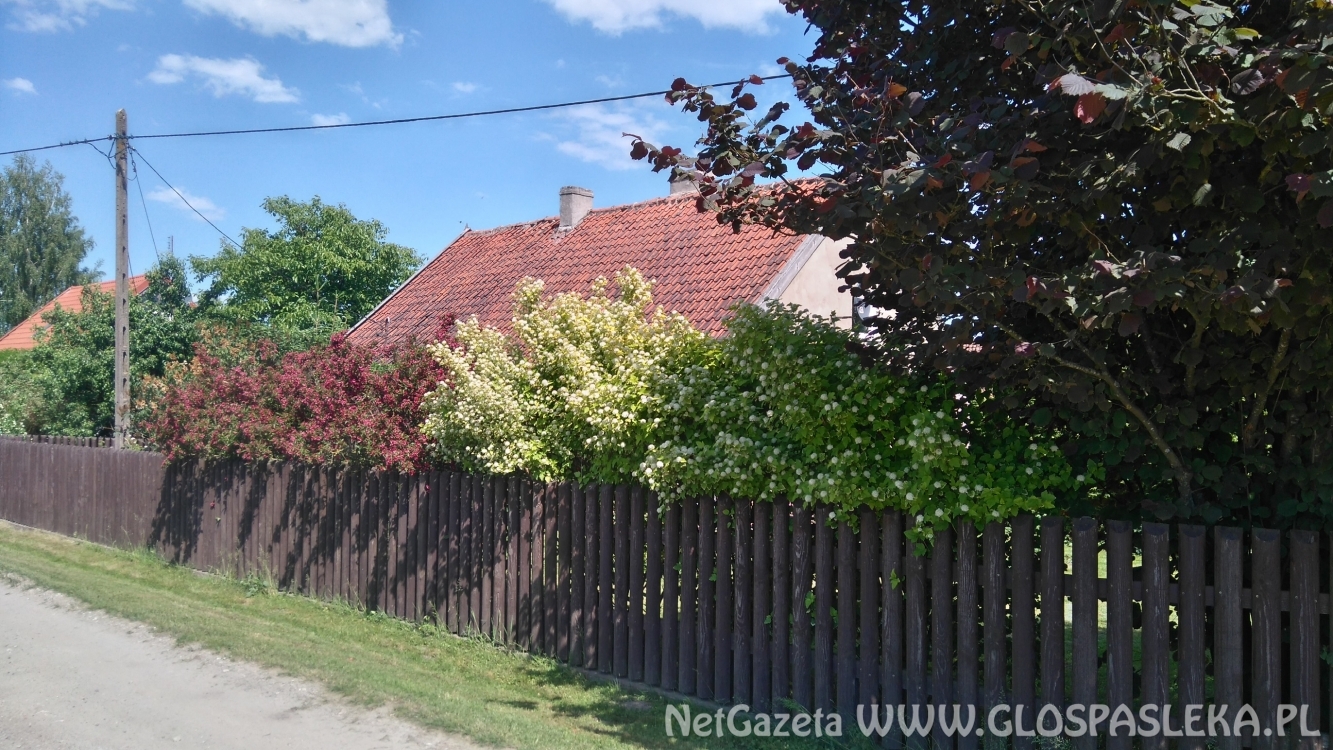 Wpadł do rowu i dachował