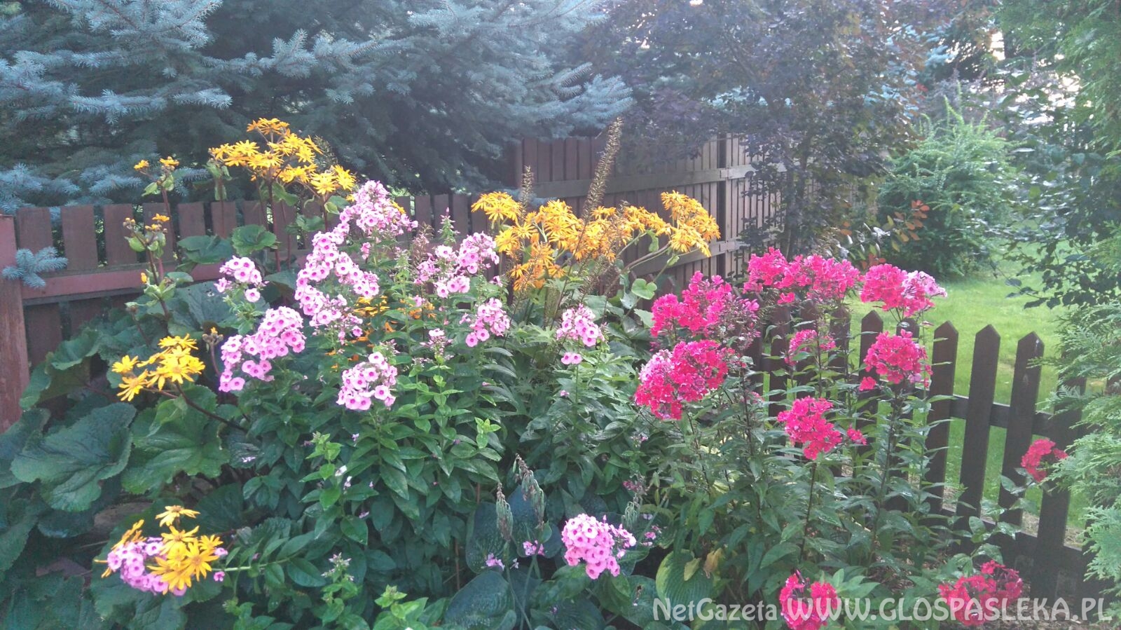 Wpadł do rowu i dachował