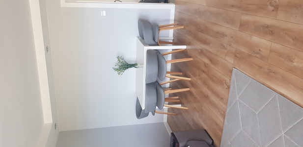 Dąb pamięci w ZSEiT