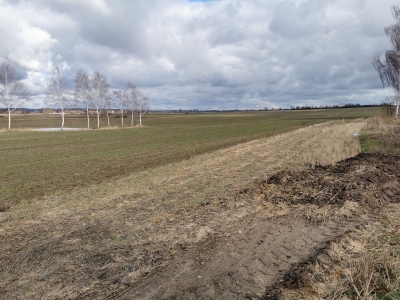 policjanci oddawali krew