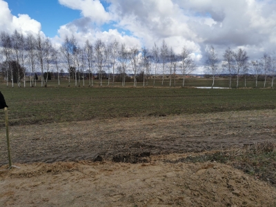 policjanci oddawali krew