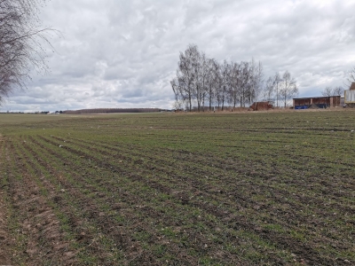 policjanci oddawali krew