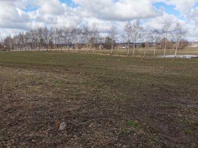 policjanci oddawali krew