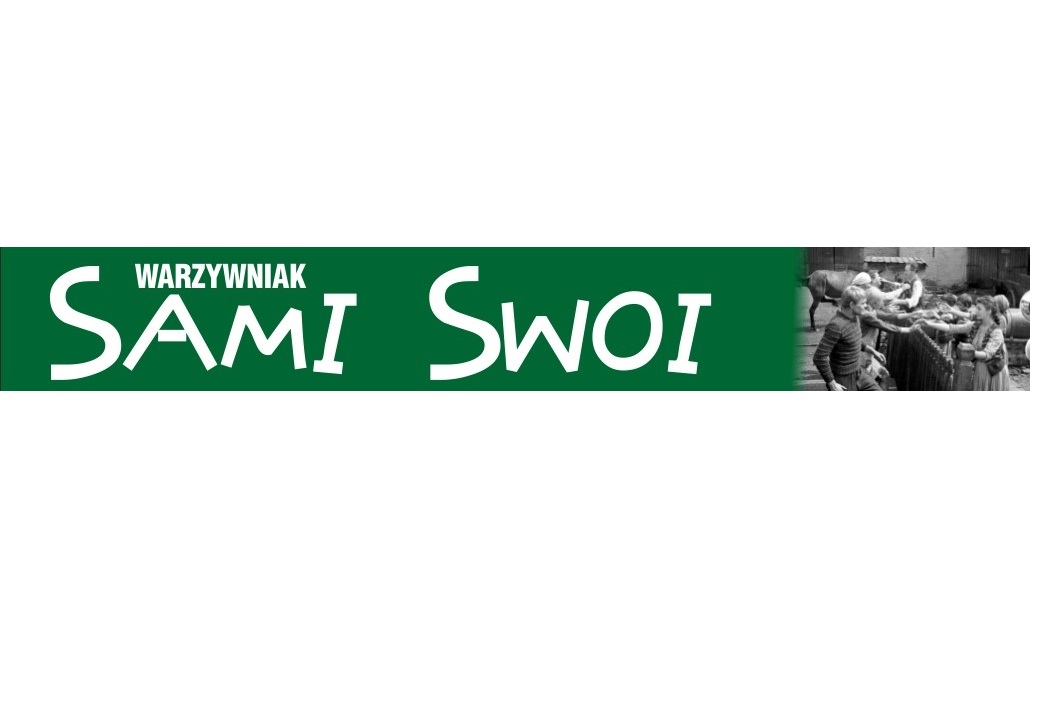 Pasłęckie morsy na rzecz WOŚP