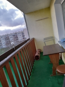 Wydarzenia Roku i Koncert Noworoczny