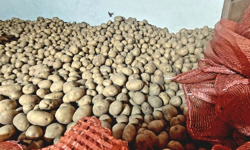 Stypendia Burmistrza Pasłęka