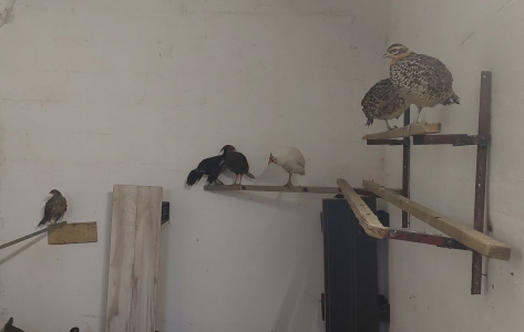 Aktualny komunikat inspektora sanitarnego