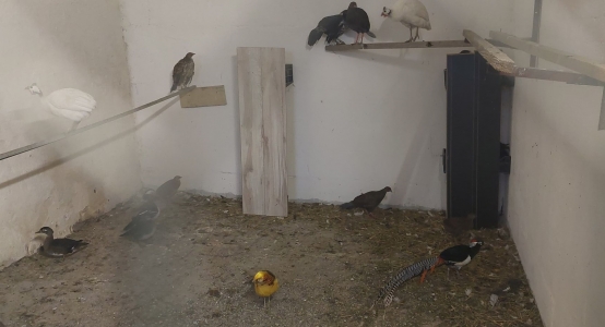 Aktualny komunikat inspektora sanitarnego