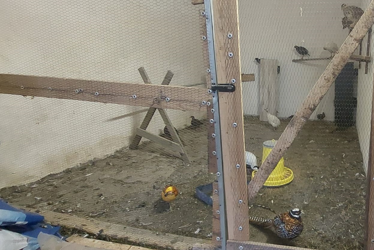 Aktualny komunikat inspektora sanitarnego